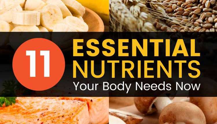 11 Essential Nutrients Your Body Needs Now
