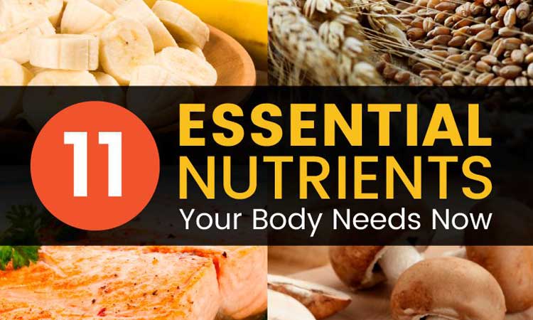 11 Essential Nutrients Your Body Needs Now