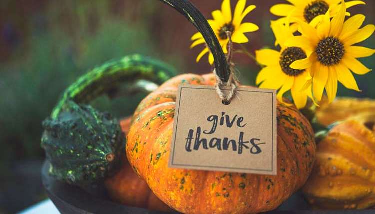 20 Gratitude Quotes To Inspire You This Thanksgiving