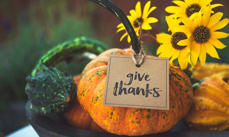 20 Gratitude Quotes To Inspire You This Thanksgiving