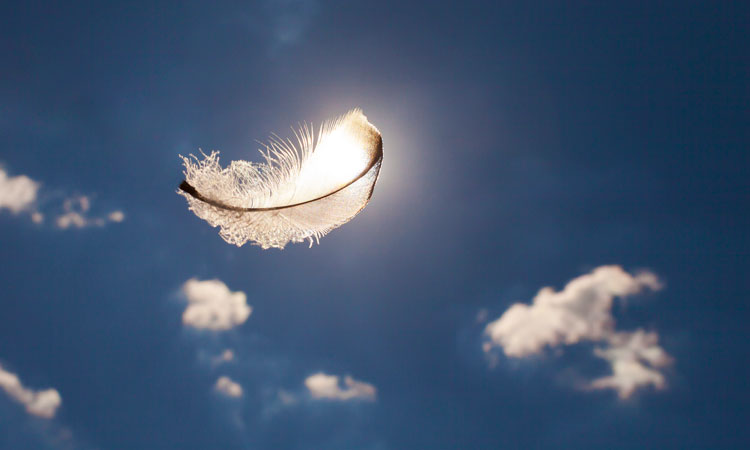 Are-You-Truly-Open-To-The-Signs-That-Help-Is-Near feather floating in the air
