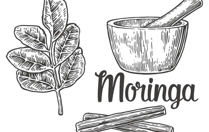 Moringa: The Remarkable Superfood