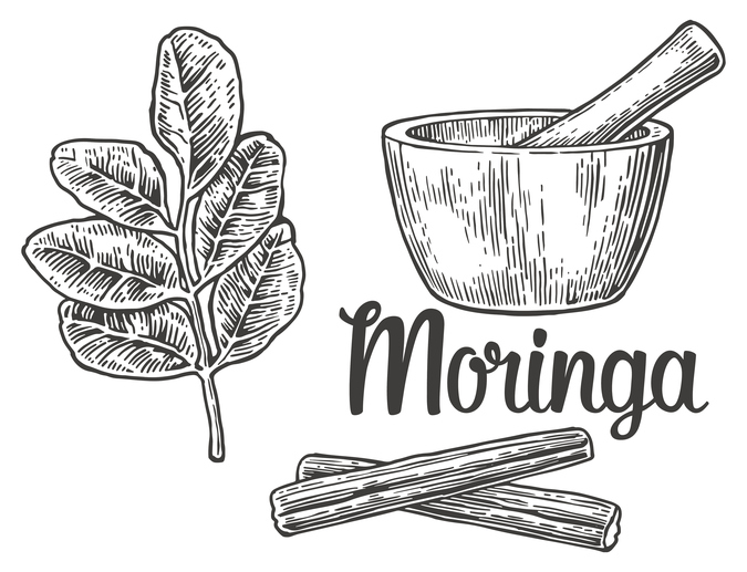 Moringa: The Remarkable Superfood