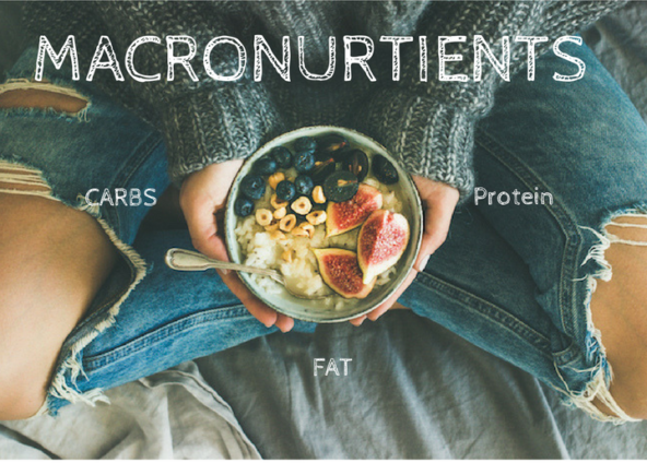 Counting Macros For Nutrition And Weight-Loss