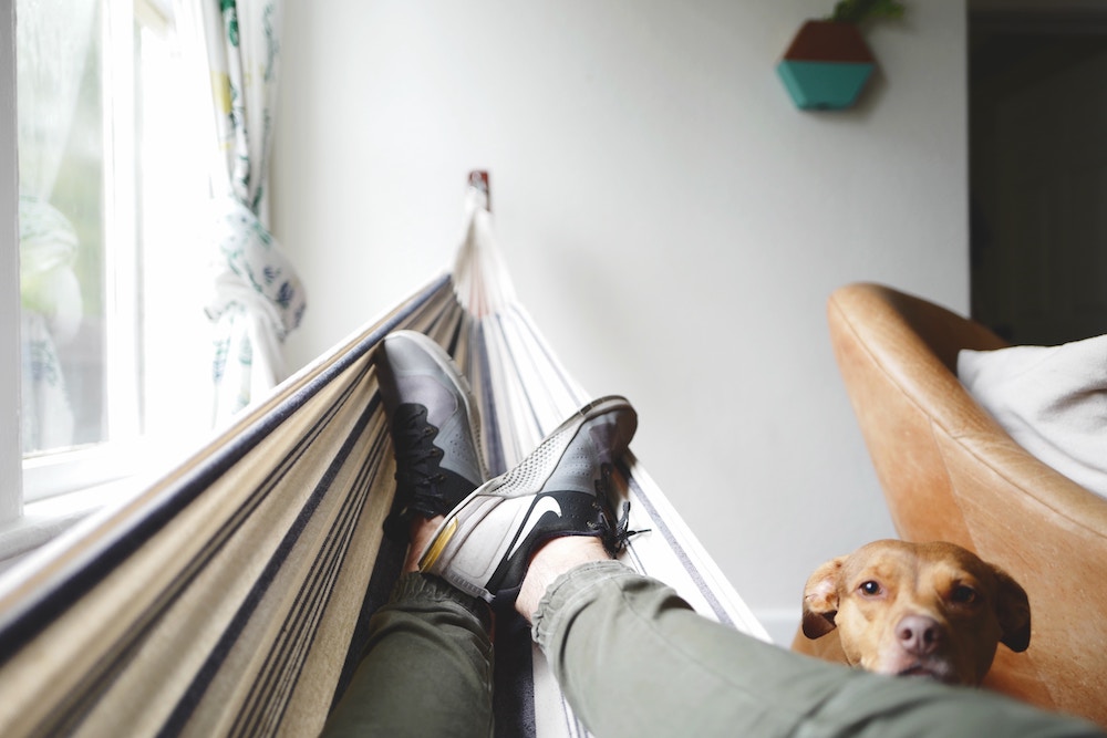 man with his dog enjoying a relaxing weekend