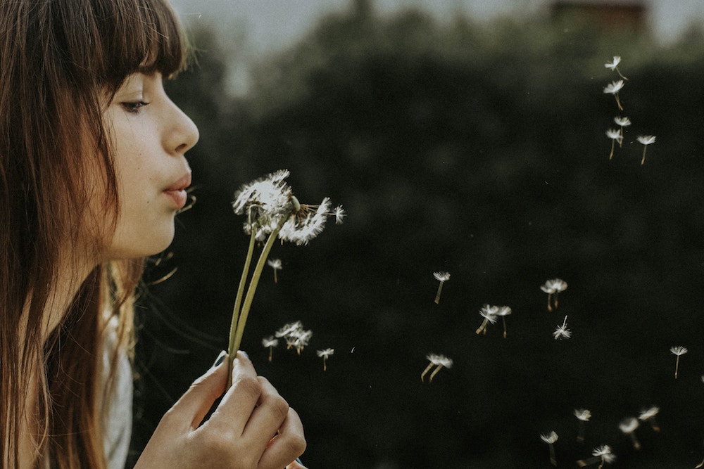 hay fever - girl blowing dandelion