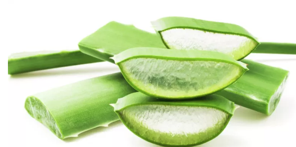 water aloe vera