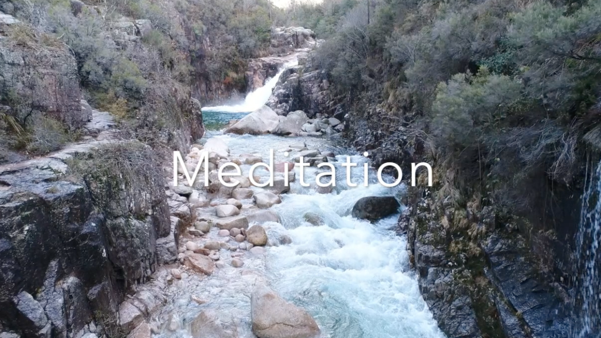 Meditation: Empowerment by Rose Caiola